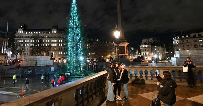 رسوم خاص کریسمس بریتانیایی | گروه مهاجرتی کارا